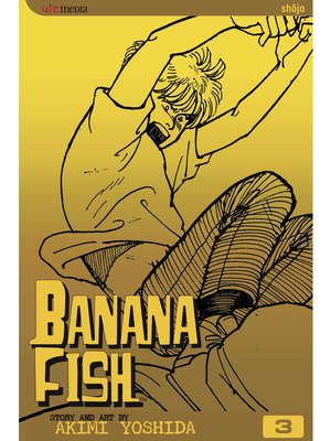 cover image of Banana Fish, Volume 3